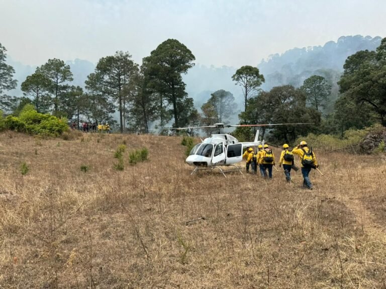 Casi 1500 hectáreas siniestradas en San Dimas; seis incendios activos
