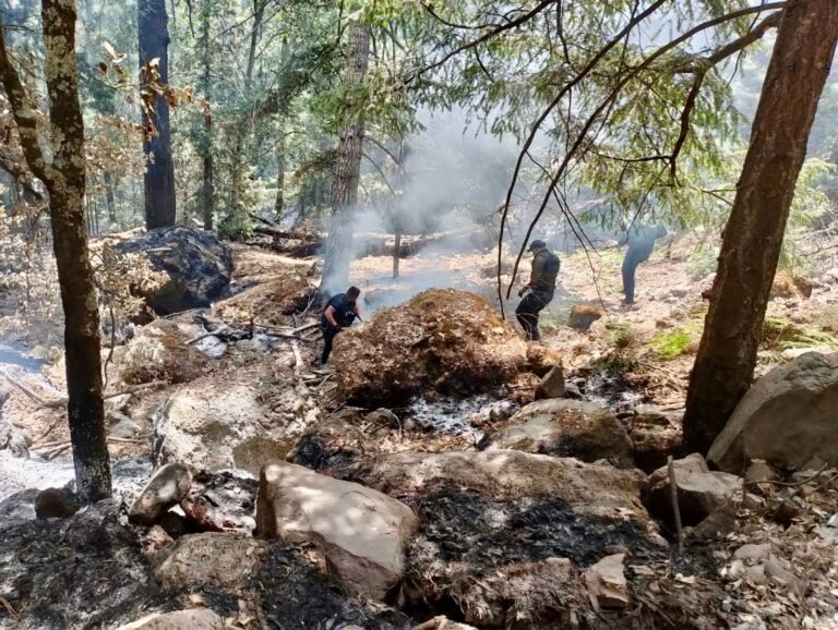 Incendios forestales en San Dimas, controlados: SRNMA