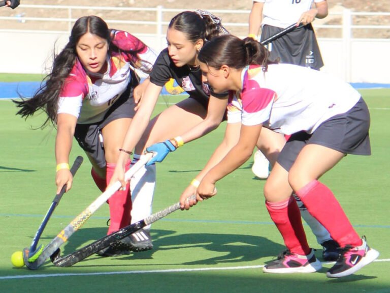 Fugaz participación