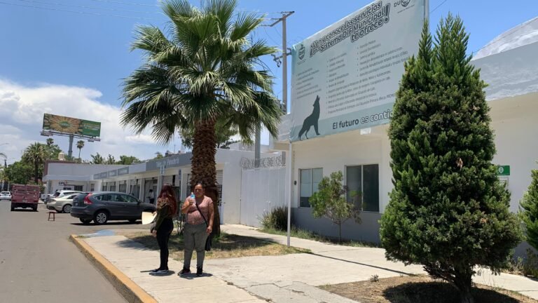 Brindan protección y alivio en refugios temporales del DIF municipal