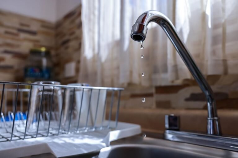 Unida la gran familia, ¡se pone trucha con el agua!