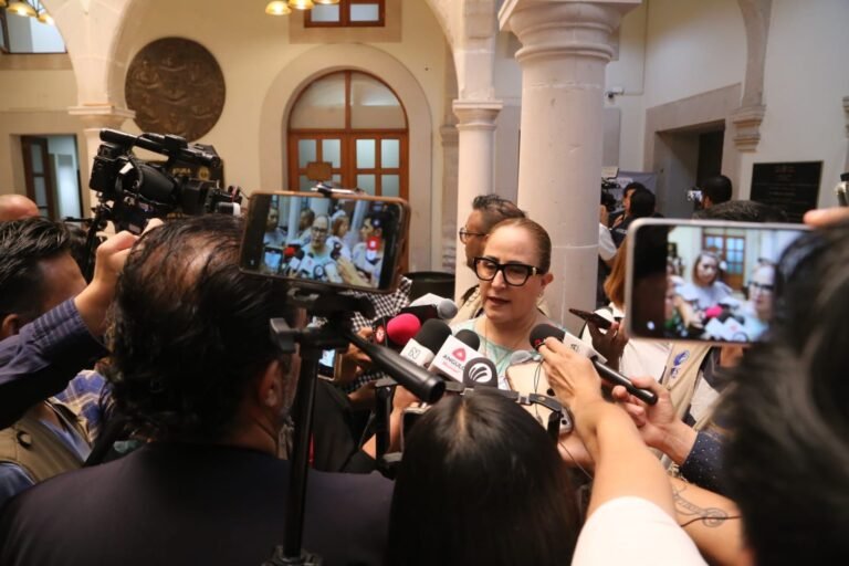 Hay temas importantes que no deberían quedar en el rezago: Marisol Carrillo Quiroga