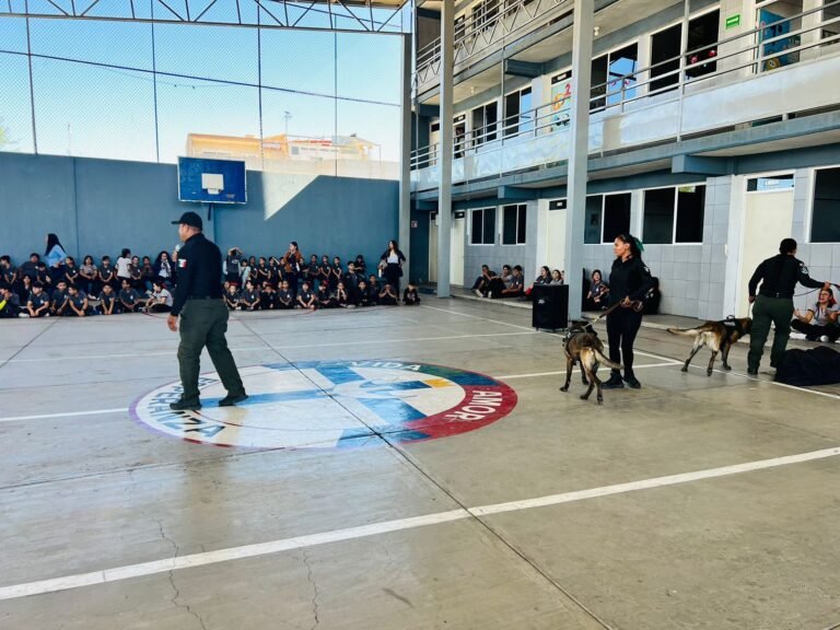 Promueve DMSP cultura de seguridad con estudiantes
