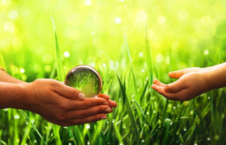 Día Mundial del Medio Ambiente: Nuestra tierra, nuestro futuro