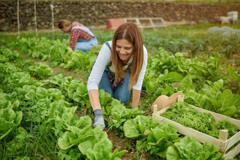 Agricultura regenerativa, el futuro de la nutrición