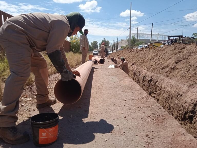 Al 100, los servicios de la gran familia en bulevar Dolores del Río