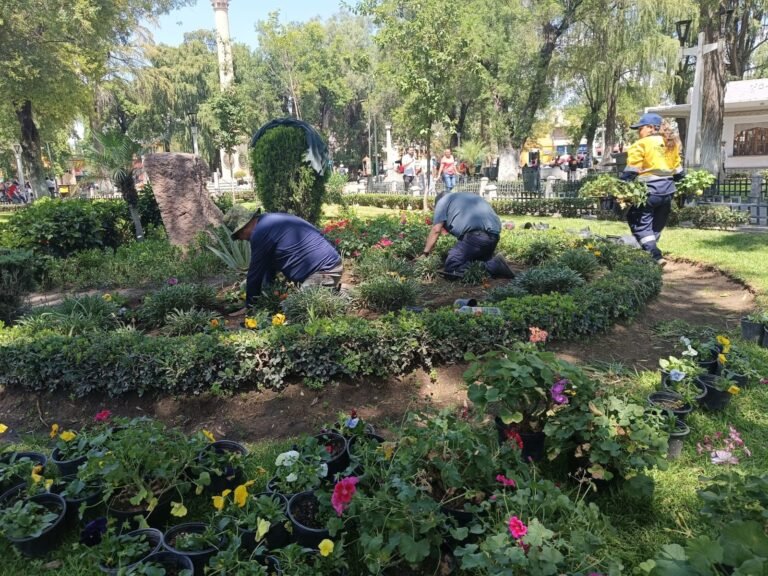 Por una Plazuela Baca Ortiz más chula y verde para la gran familia