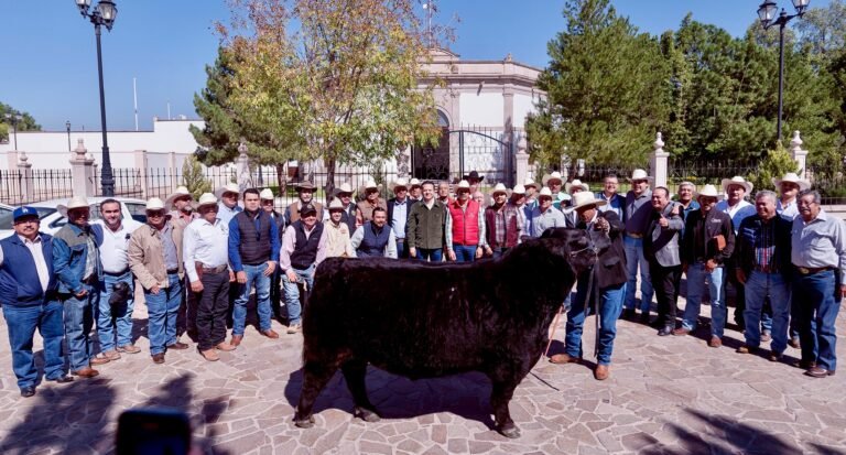 Durango, referente en ganado de primera calidad