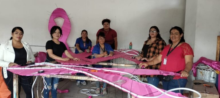 En una semana Realizan mujeres artesanas adornos del mes rosa