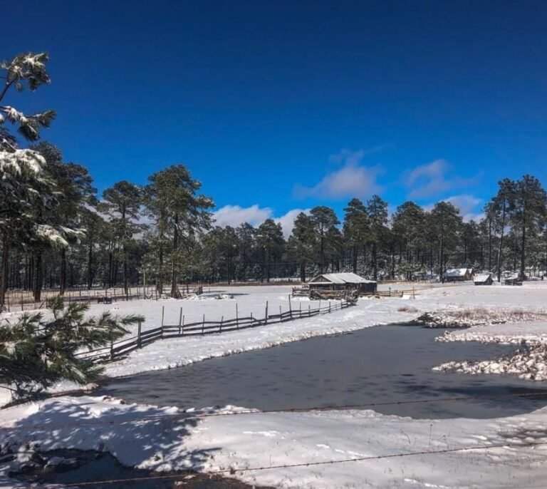 Se esperan 48 frentes fríos y 6 tormentas invernales: CEPC