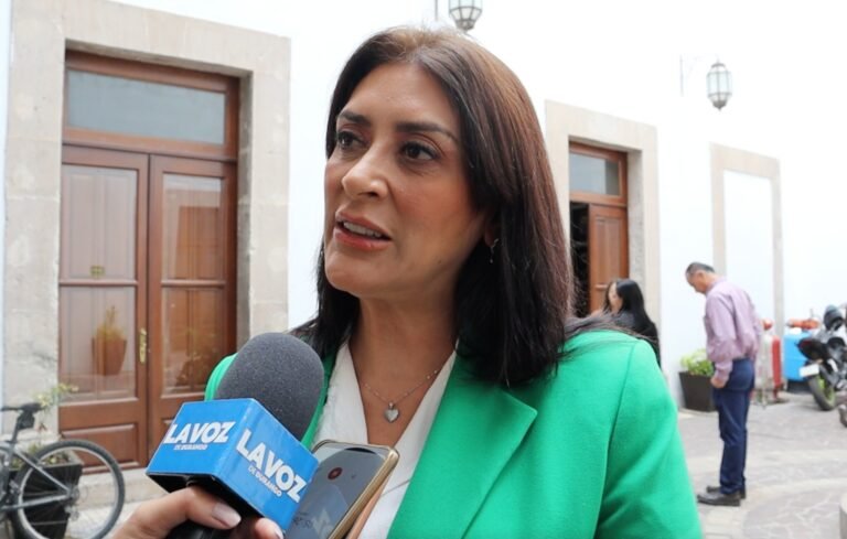 Urge incrementar presupuesto para salud mental: Martha Palencia
