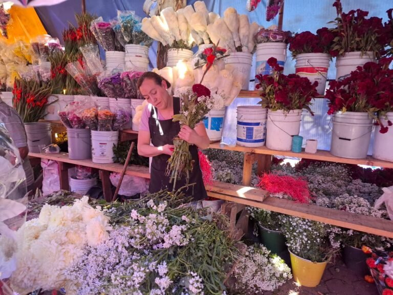 Disminuye hasta 50% venta de flores