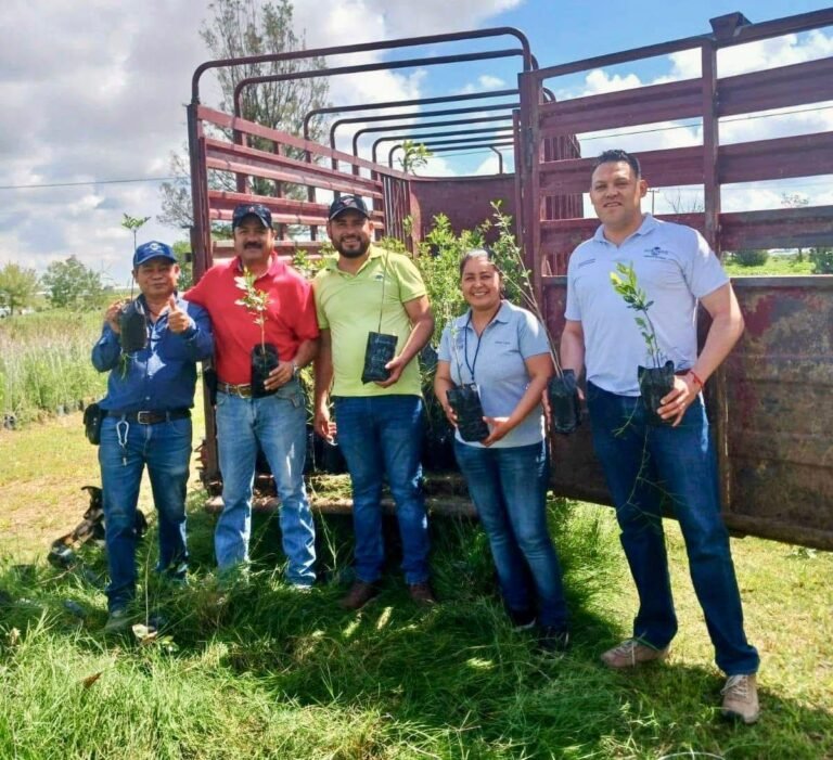 Impulsa Durango un futuro más verde con microbosques y reforestación