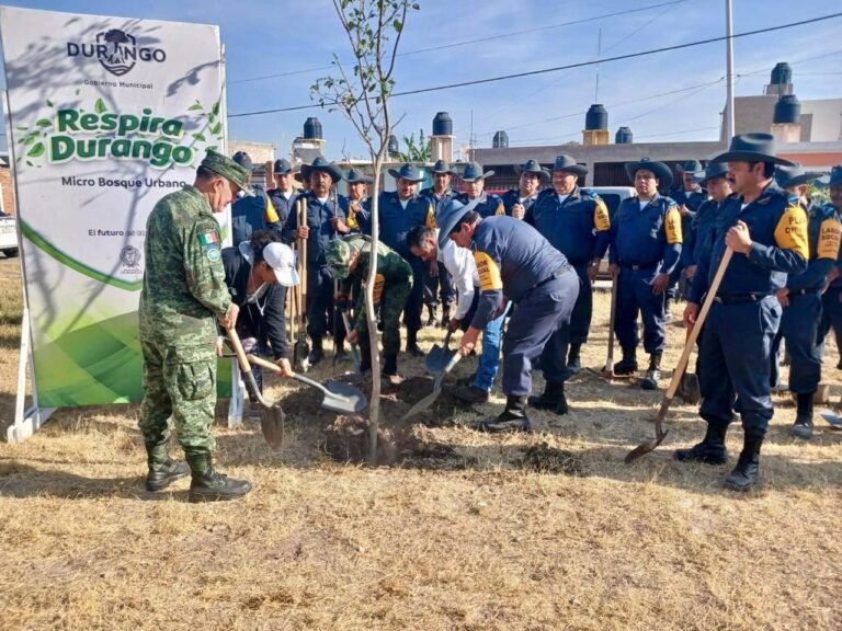 Trabajamos en casa por un futuro verde para la gran familia