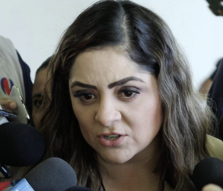 Participarán PAN y PRI en candidatura común: Ali Gamboa