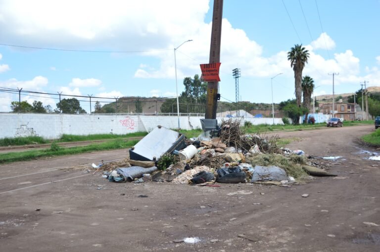 Persisten los tiraderos de basura: Servicios Públicos