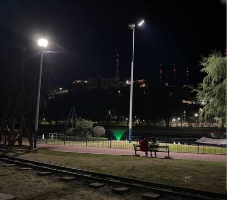 Roban 8 luminarias en el Sahuatoba: Servicios Públicos