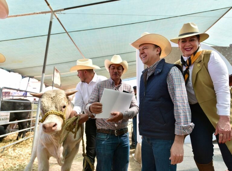 Prioridad de Gobierno, continuar con exportación de ganado