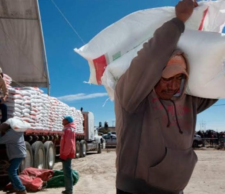 Sin recibir pago, mil 100 productores de Segalmex: SAGDR