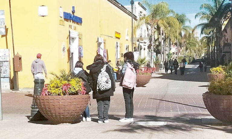 CCE busca crear microempresas para jóvenes