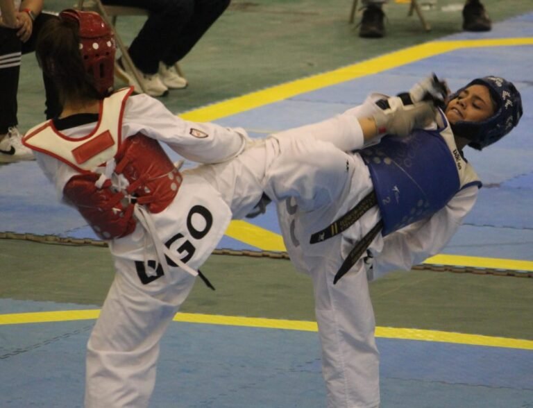 19 Taekwondoines con boleto a la ON