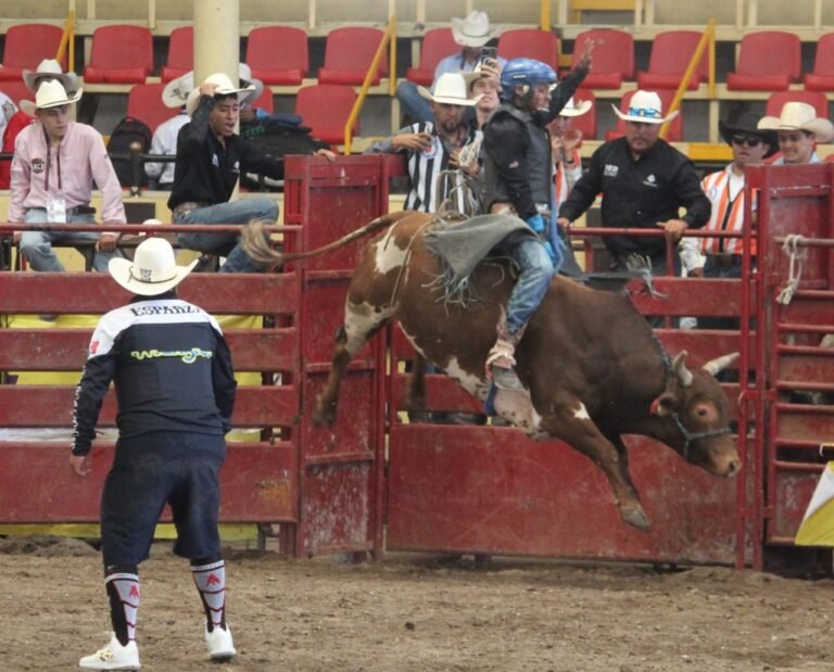 Rodeo comenzó participación en la ON2025