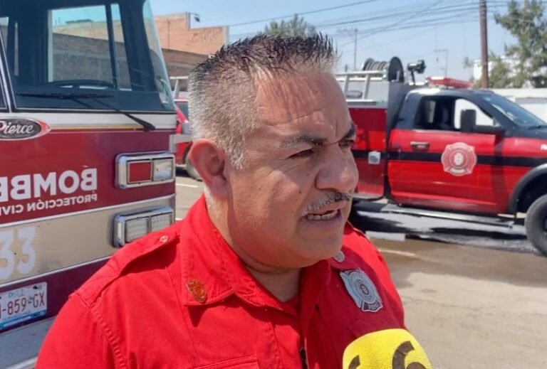Incrementan los reportes de panales de abejas