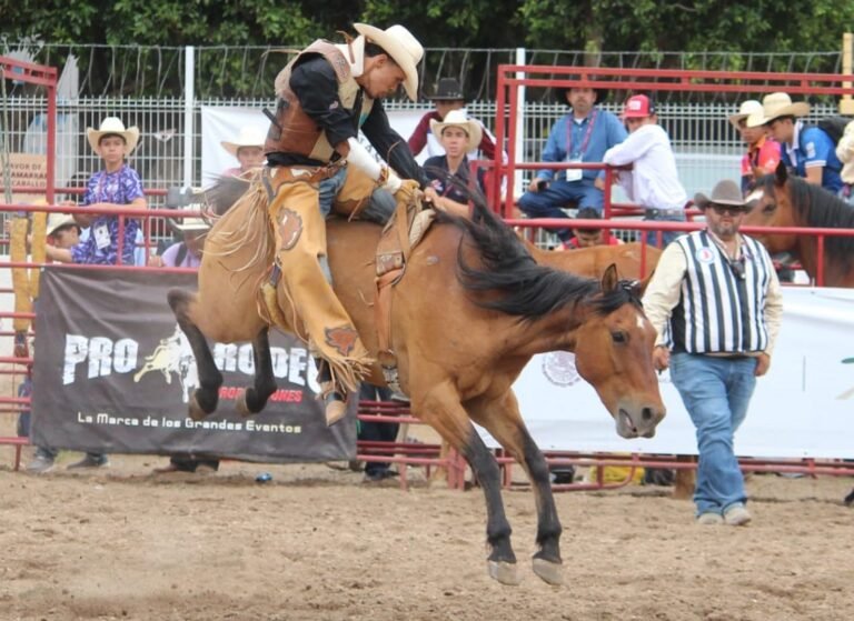 Rodeo cosecha una plata