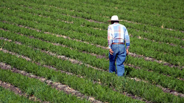 Se pretende entregar apoyos al campo por efectos de la sequía: EVV
