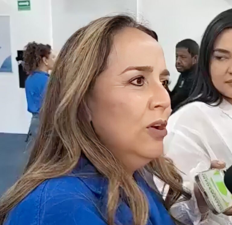 La 4T no ha dado resultados en el sector salud: Diputada