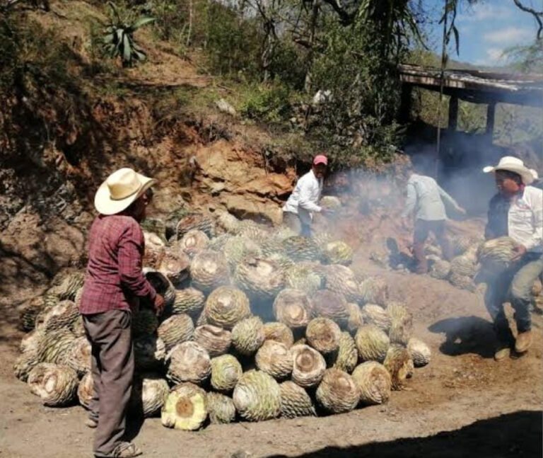 Buscan facilitar permisos de traslado a mezcaleros artesanales