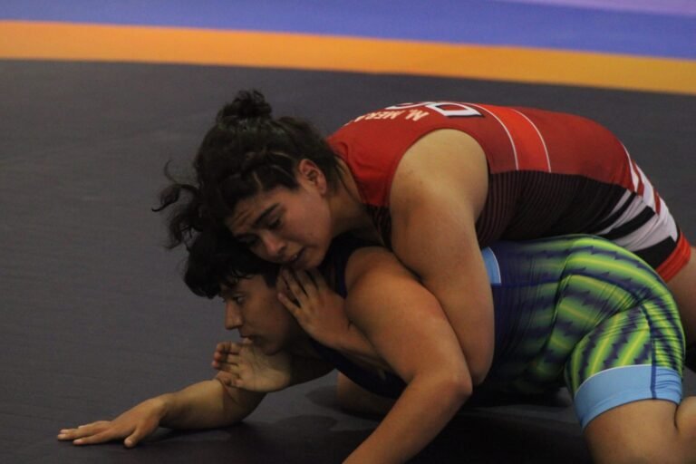 Dos bronces en luchas