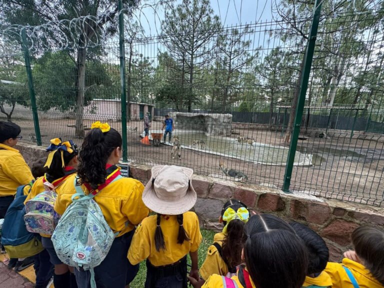 Scouts visitan Zoológico Sahuatoba y nombran a cachorros de lobo canadiense