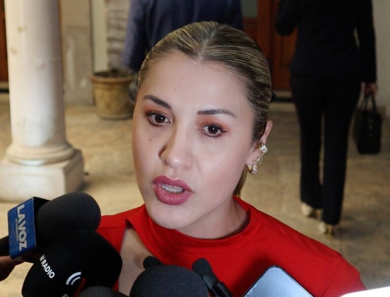 Urge fortalecer atención a la salud mental: Diputada