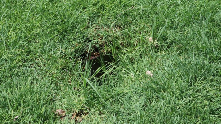 Ciudadanos reportan riesgo por registro abierto