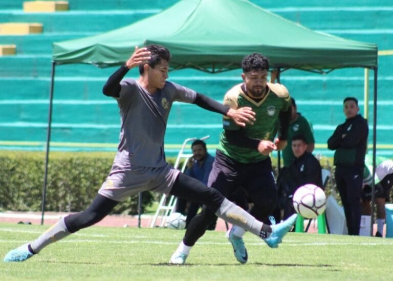 Segundo examen venenoso