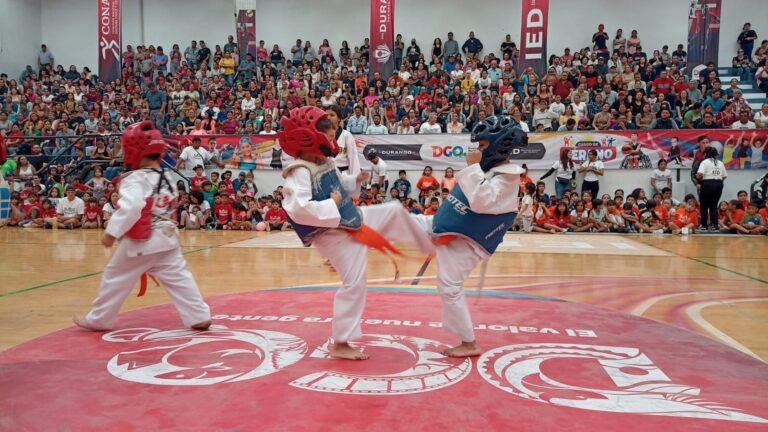 ¿Y los cursos de verano?