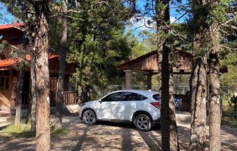 Cabañas registran un 60% de ocupación