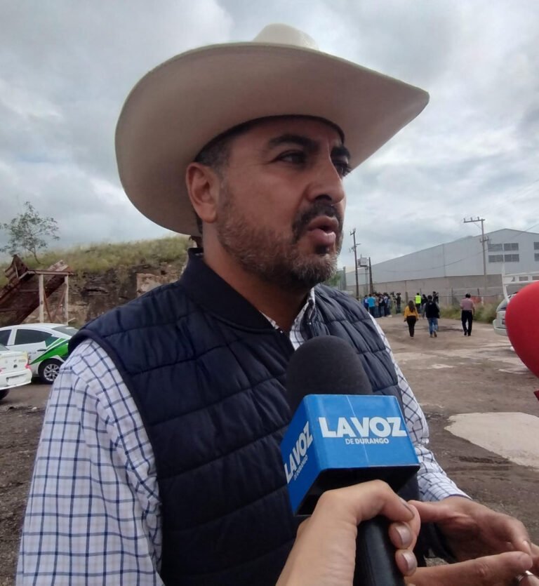 Plaga de chapulín afecta 1,500 hectáreas de frijol