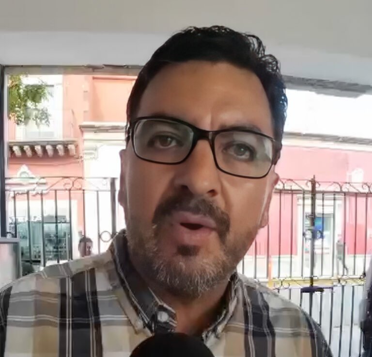 Plaga de chapulín está presente en el 90% de la siembra