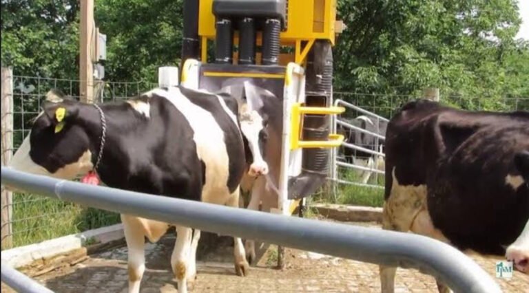 Durango implementa proceso de trampeo para ausencia de plagas