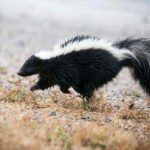18ago2025_03