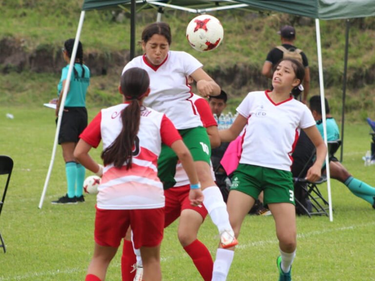 Iniciarán eliminatorias para JNP