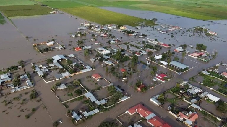 Pérdida total en el poblado La Palestina, Durango