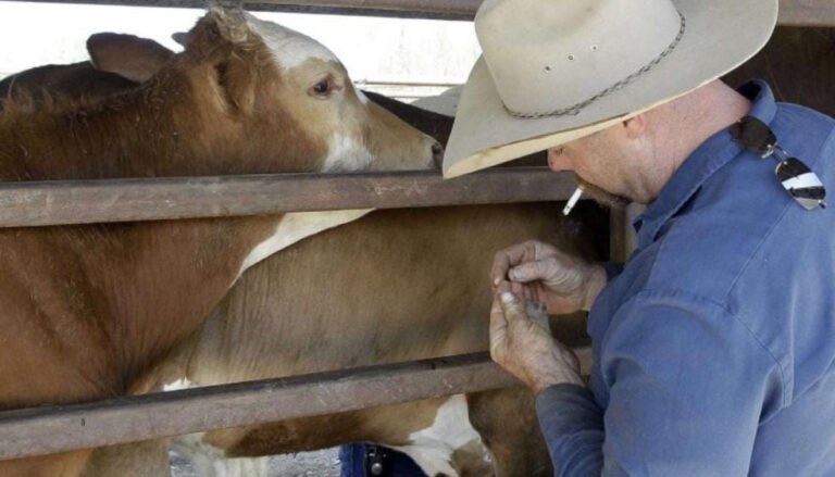 Visita del USDA a Durango busca reactivar exportación ganadera