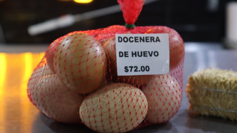 Se mantiene estable el precio del huevo: CANACO