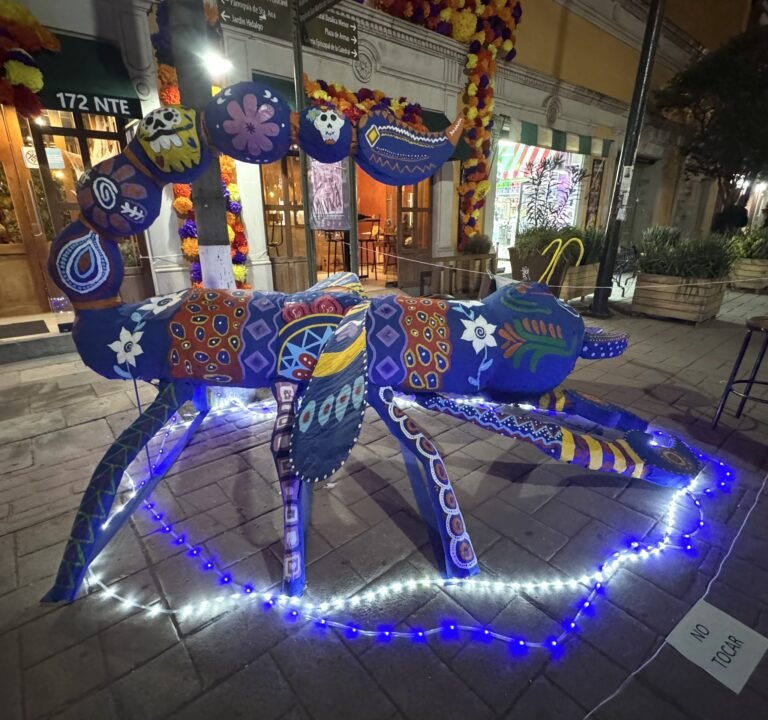 Comercios del Corredor Constitución enchulan sus fachadas