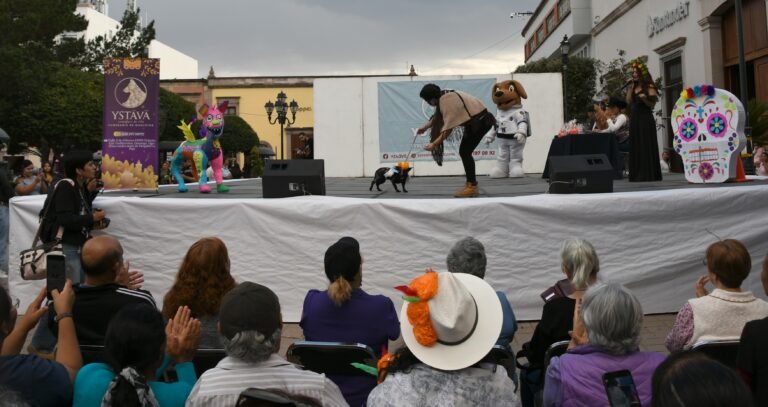 Exponen a sus peludos en el Concurso de Disfraces de Mascotas Muuki 2025