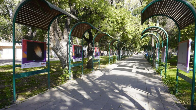 Expo foto “Raíces femeninas, miradas colimotas” se aprecia en Las Alamedas