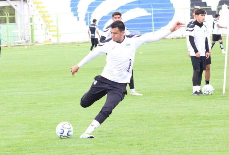 Alacranes firmes en la cima